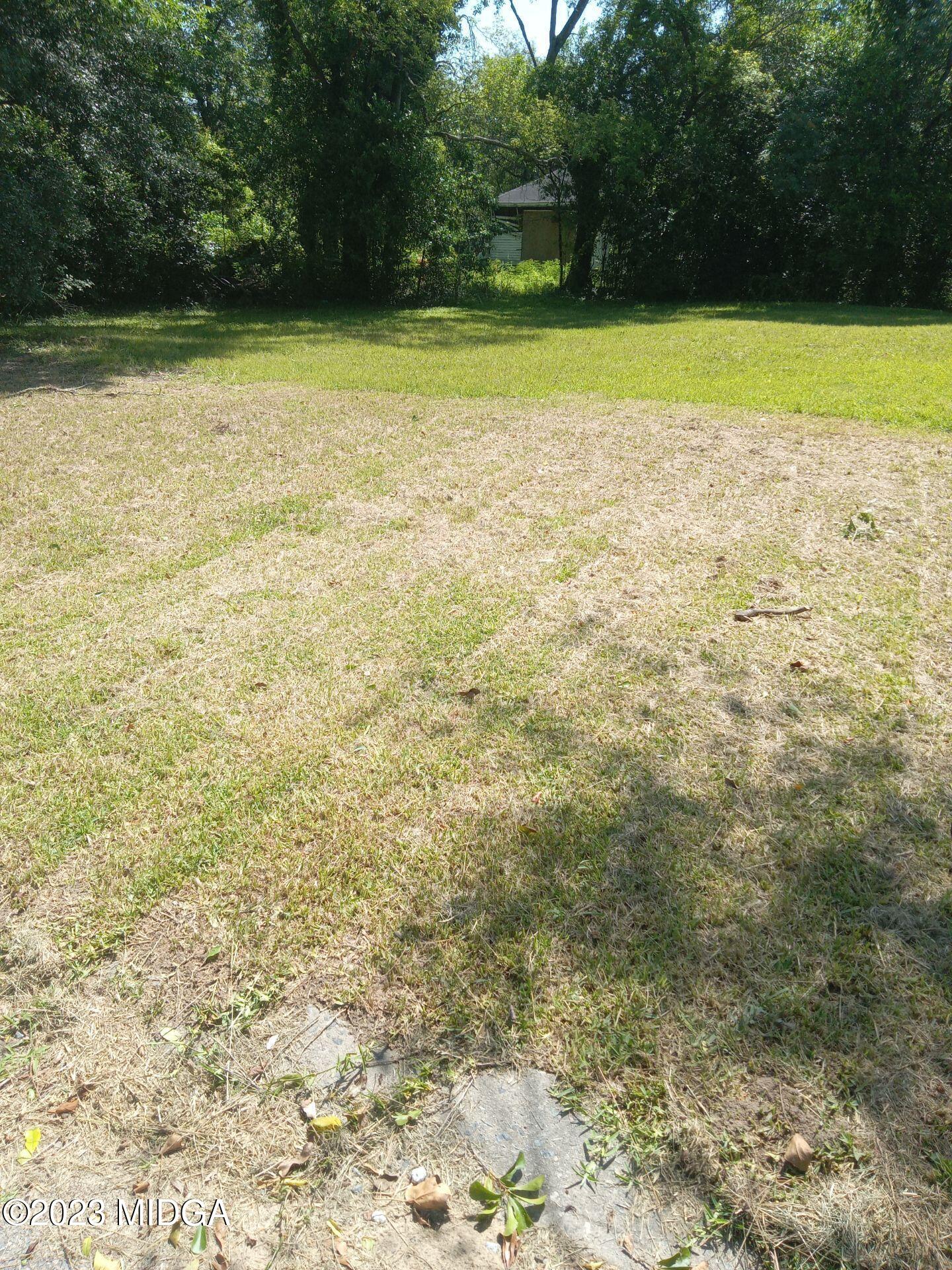 1123 Smith Street Macon, GA 31217 - Photo 17 of 17 a view of a yard with a tree