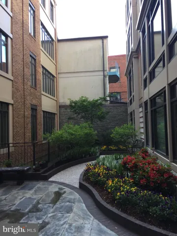 a view of a garden with a pathway