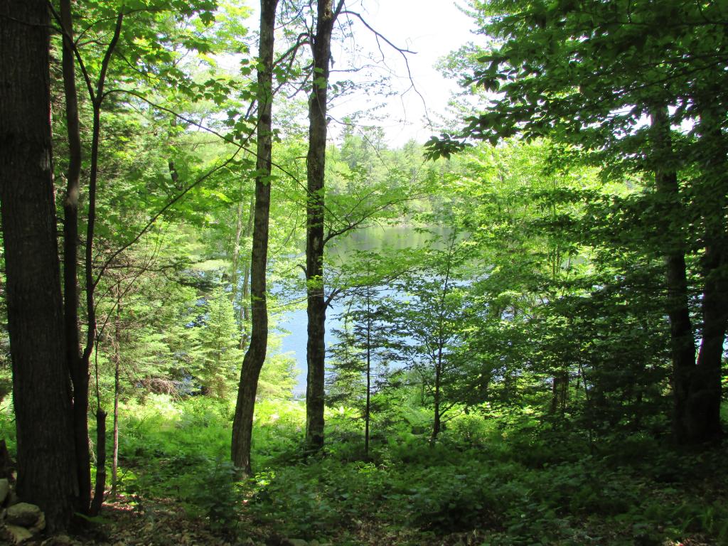 5 Shore Road Grafton, NH 03240 - Photo 11 of 11