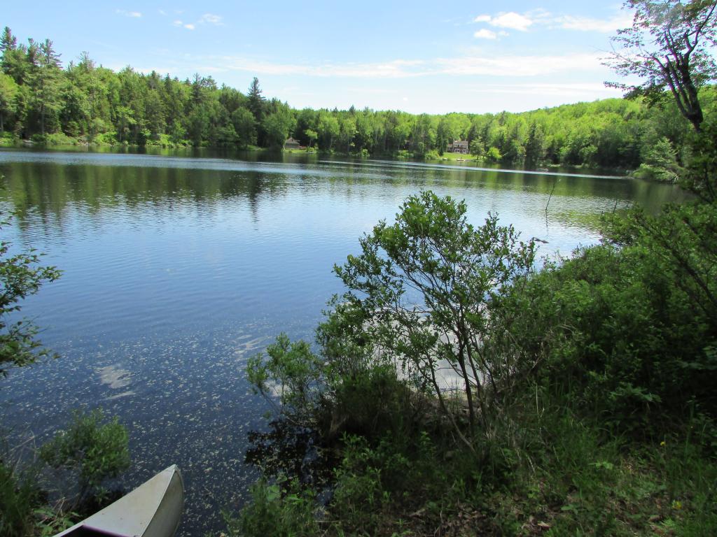 5 Shore Road Grafton, NH 03240 - Photo 3 of 11
