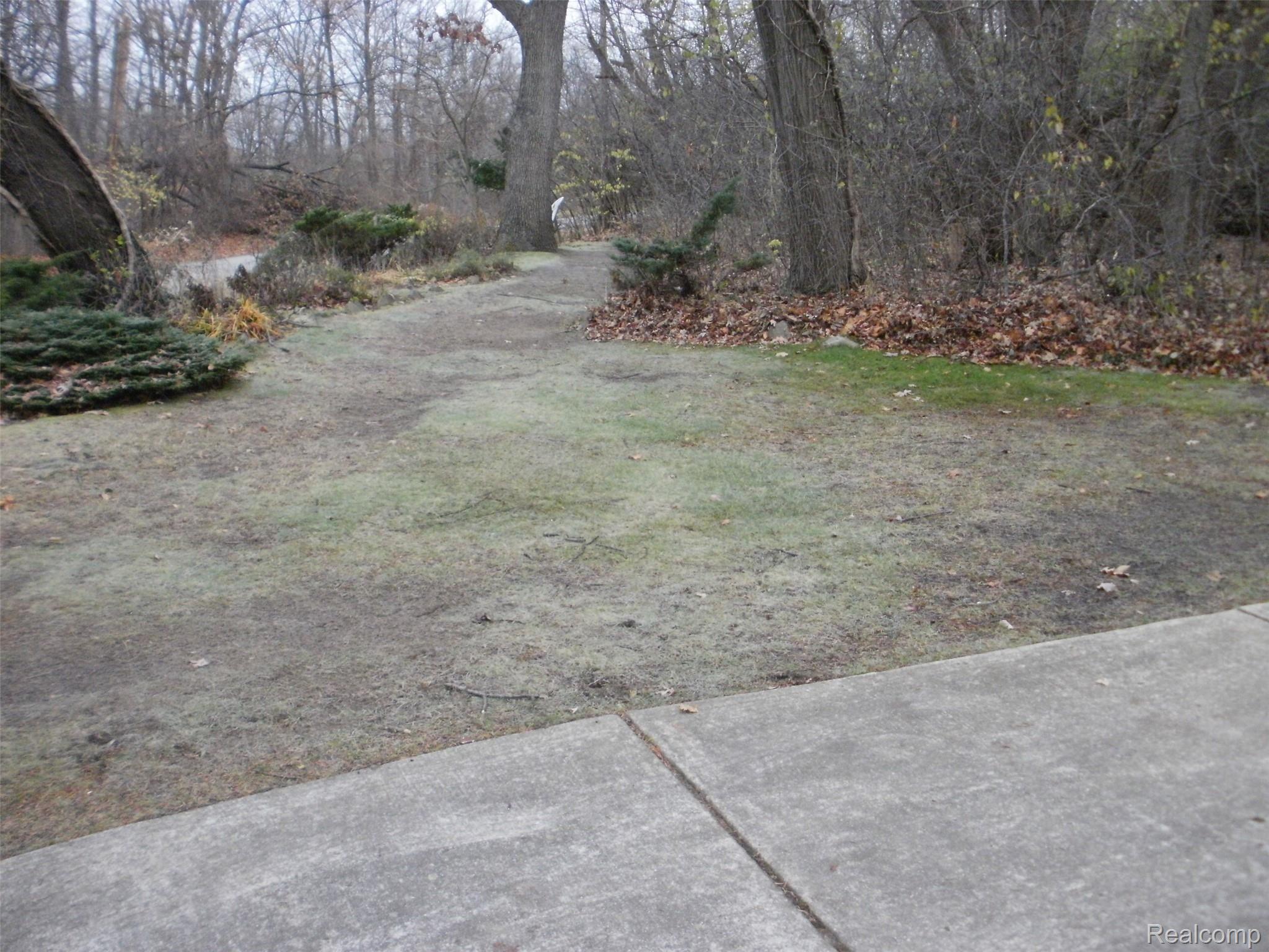16044 Meadowbrook Road Redford, MI 48239 - Photo 26 of 26 Deer feeding area.JPG