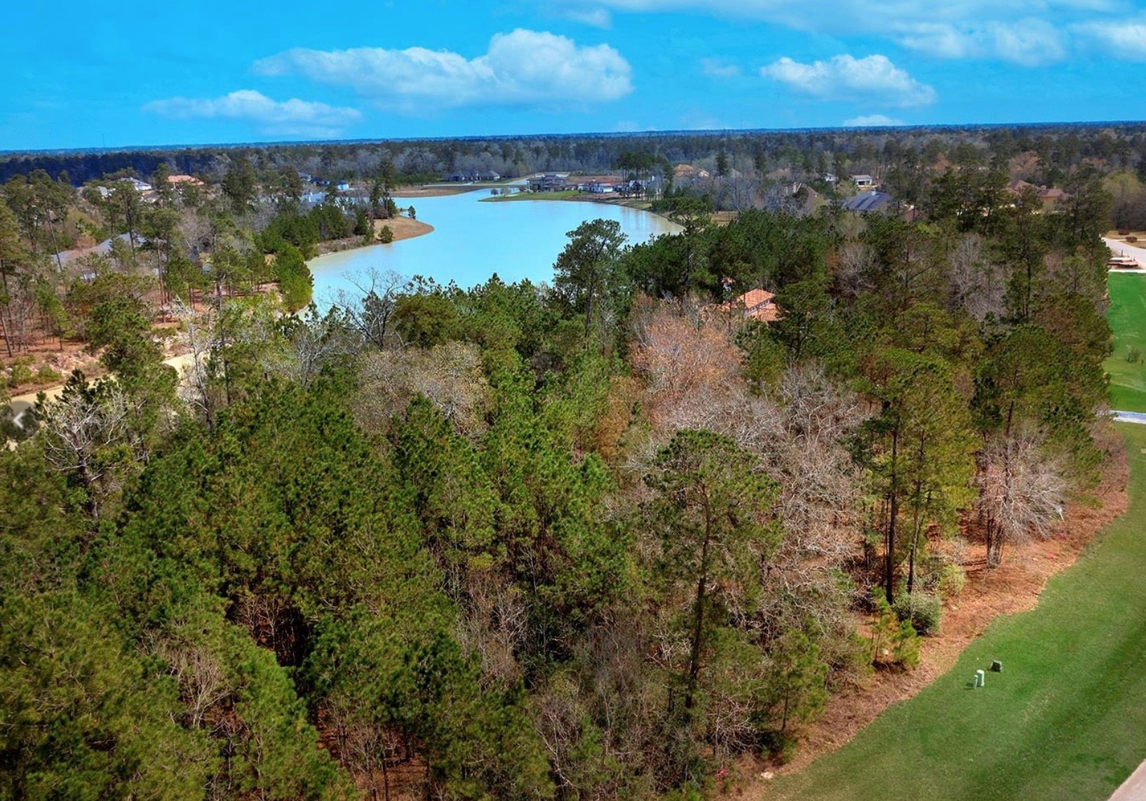 27587 South Lazy Meadow Way Spring, TX 77386 - Photo 11 of 29