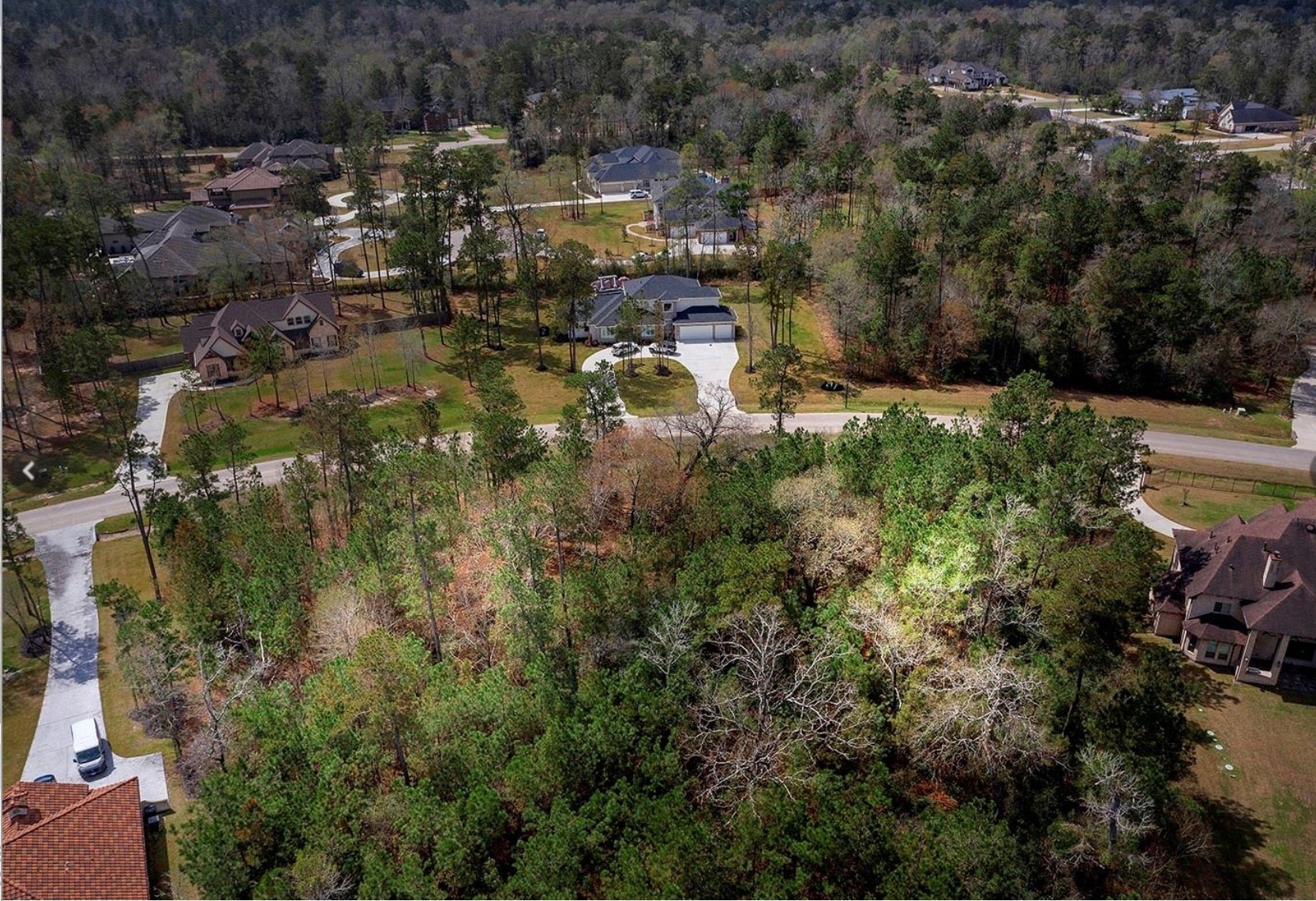 27587 South Lazy Meadow Way Spring, TX 77386 - Photo 12 of 29