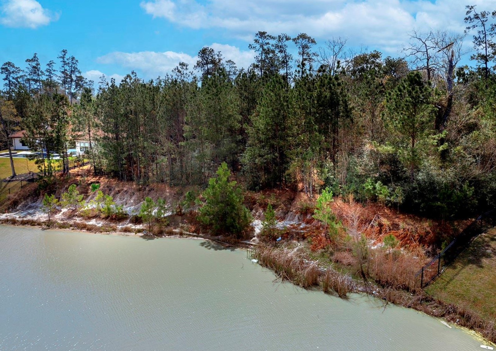 27587 South Lazy Meadow Way Spring, TX 77386 - Photo 16 of 29