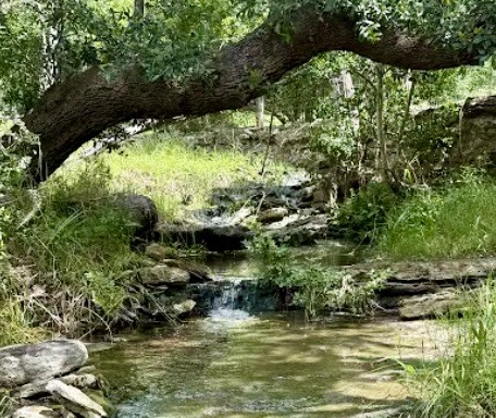 4215 Sunset Cliff Road Burnet, TX 78611 - Photo 9 of 13 Discover a tranquil stream meandering through a lush, verdant landscape.