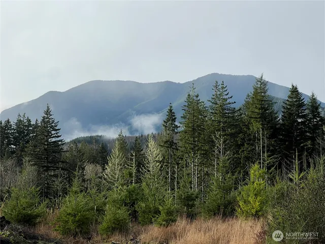 $410,885 | 3-xxx Snow Creek Road, Quilcene, WA 98376