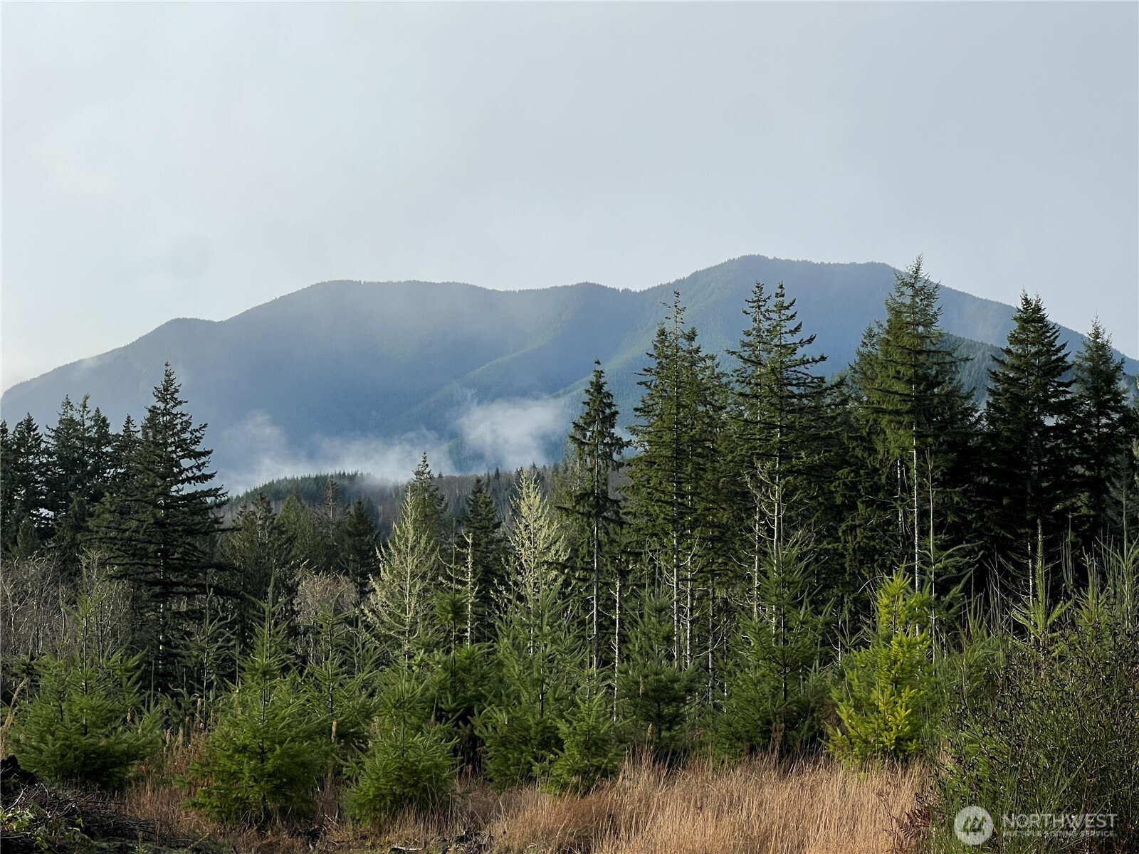an aerial view of mountain with trees in the background