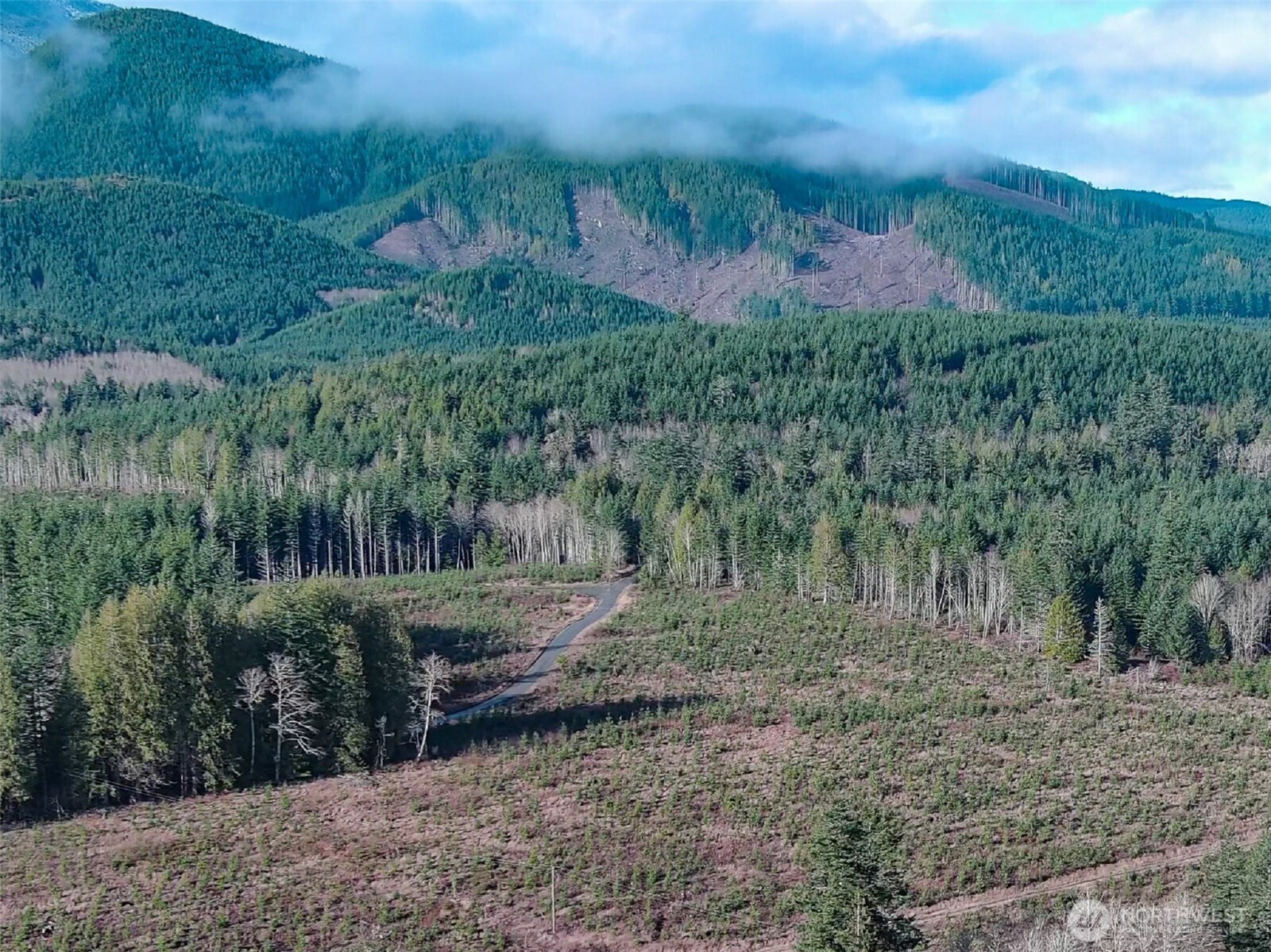 3-xxx Snow Creek Road Quilcene, WA 98376 - Photo 11 of 18 a backyard of a house with lots of green space
