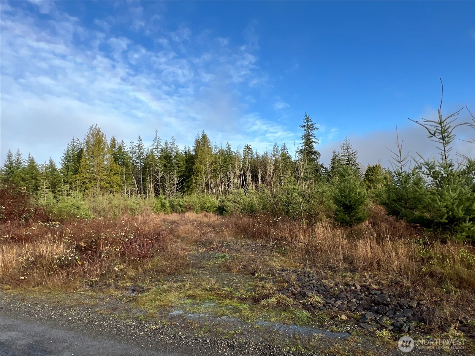 3-xxx Snow Creek Road Quilcene, WA 98376 - Photo 12 of 18 a view of a field with trees in the background
