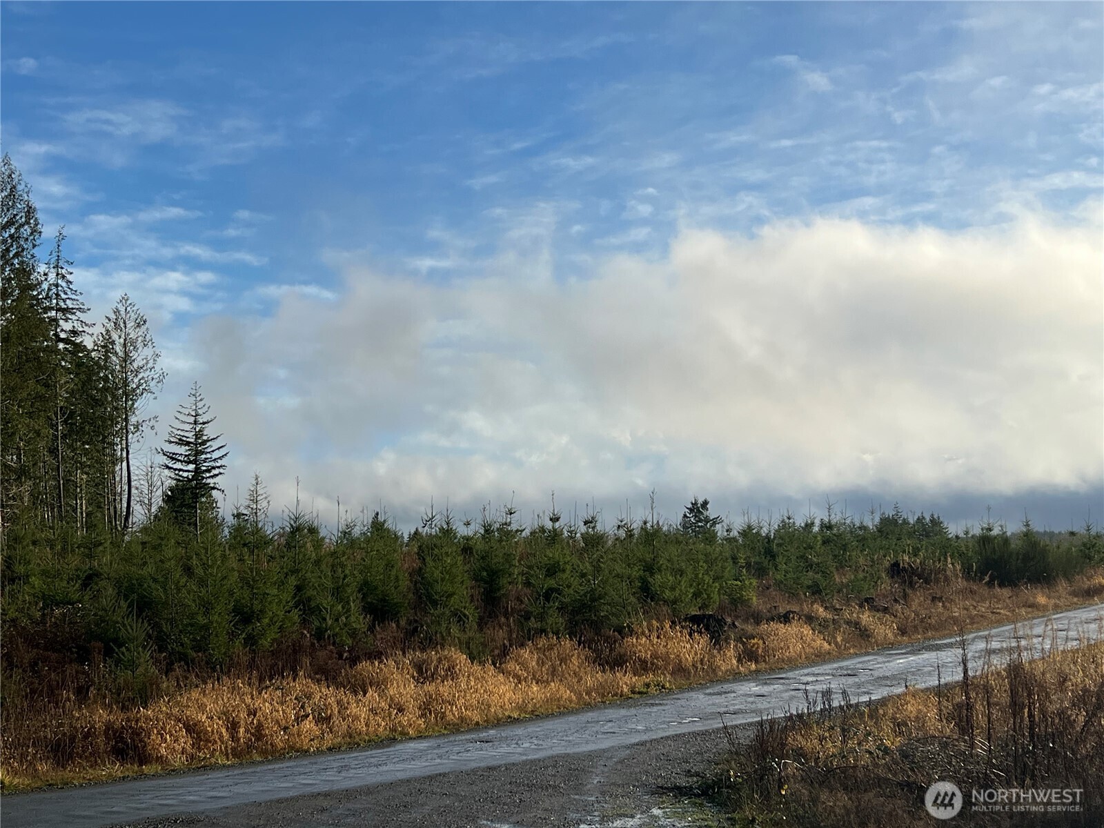 3-xxx Snow Creek Road Quilcene, WA 98376 - Photo 13 of 18 a view of a city street from a yard
