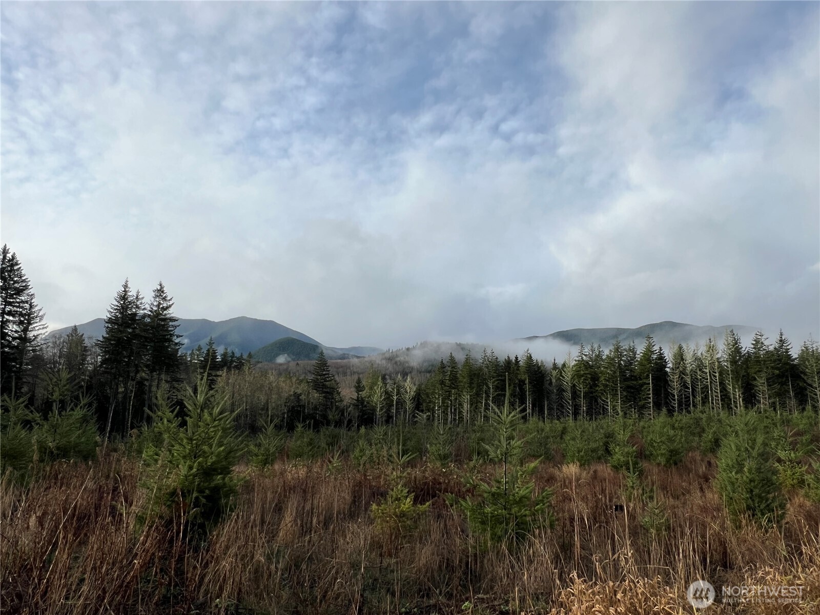 3-xxx Snow Creek Road Quilcene, WA 98376 - Photo 14 of 18 a view of a city with lush green forest