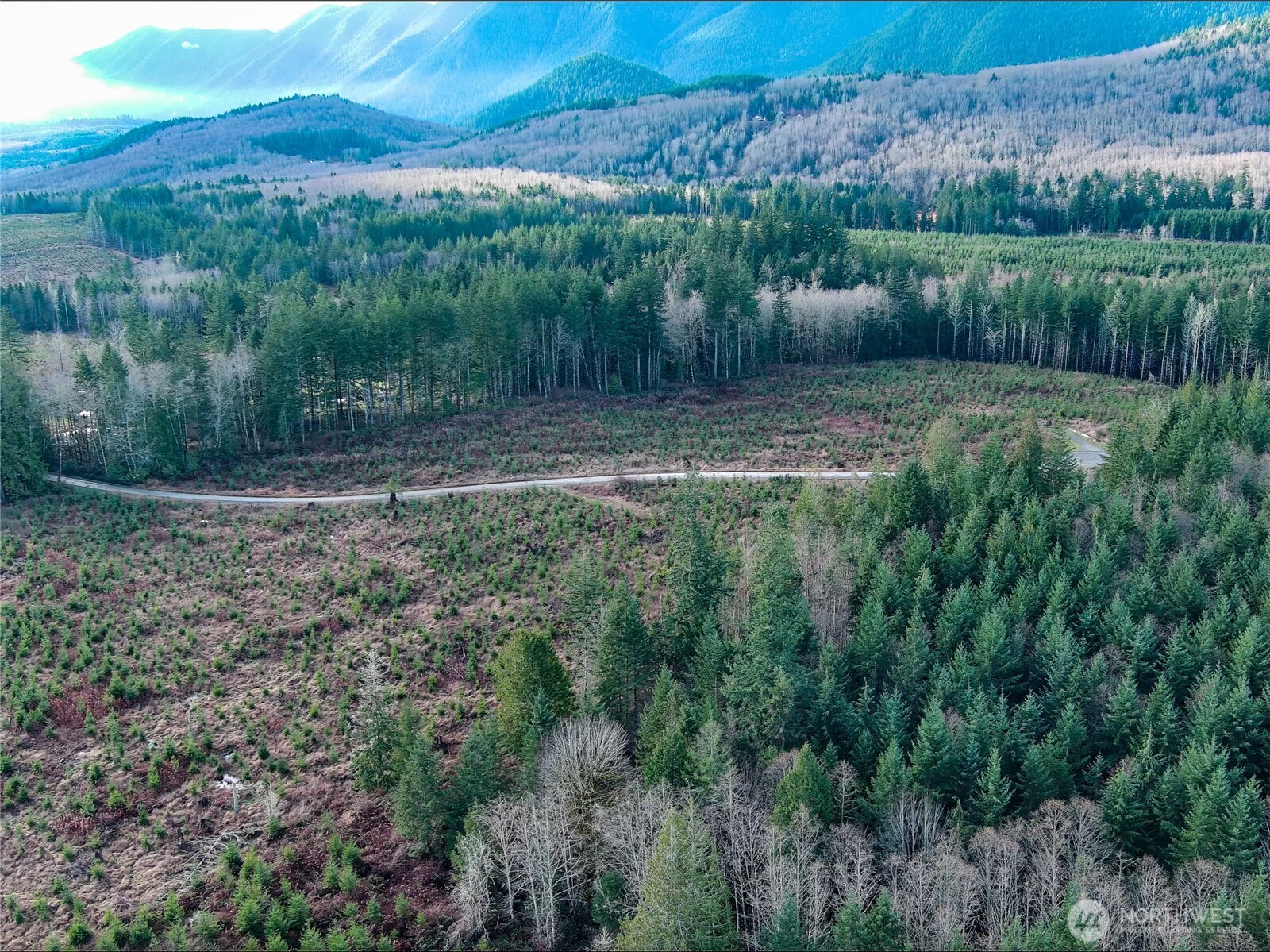 3-xxx Snow Creek Road Quilcene, WA 98376 - Photo 17 of 18 a view of a back yard