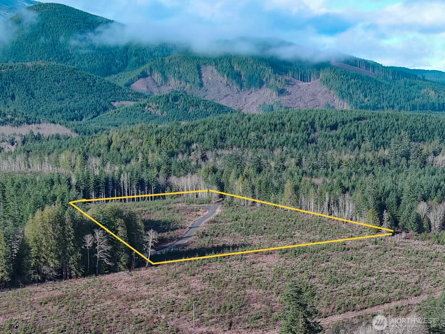 3-xxx Snow Creek Road Quilcene, WA 98376 - Photo 2 of 18 a view of a backyard with plants and large trees