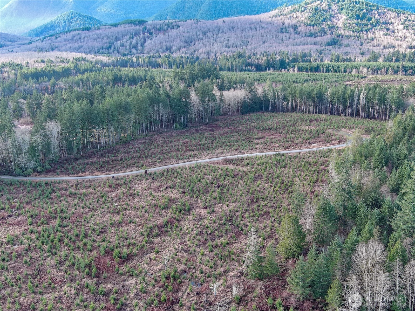 3-xxx Snow Creek Road Quilcene, WA 98376 - Photo 3 of 18 a view of a back yard