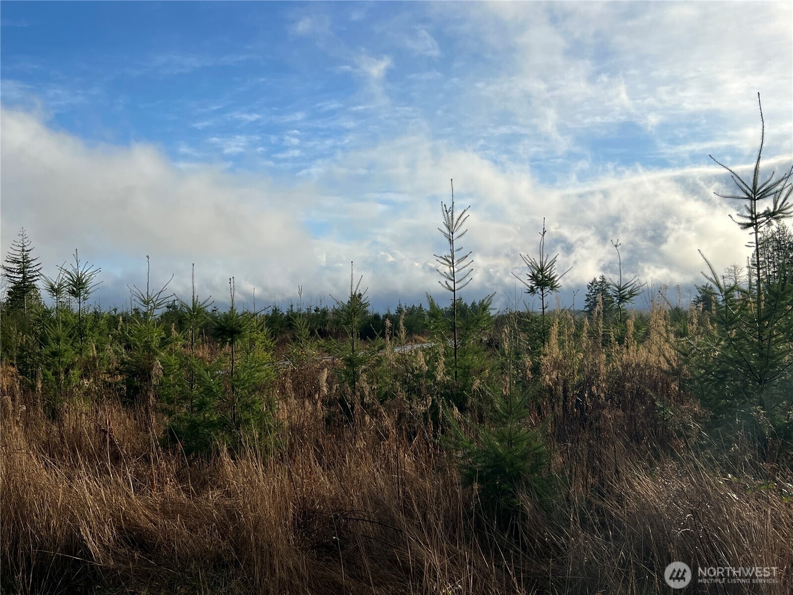 3-xxx Snow Creek Road Quilcene, WA 98376 - Photo 5 of 18 a view of a lake in middle of green field