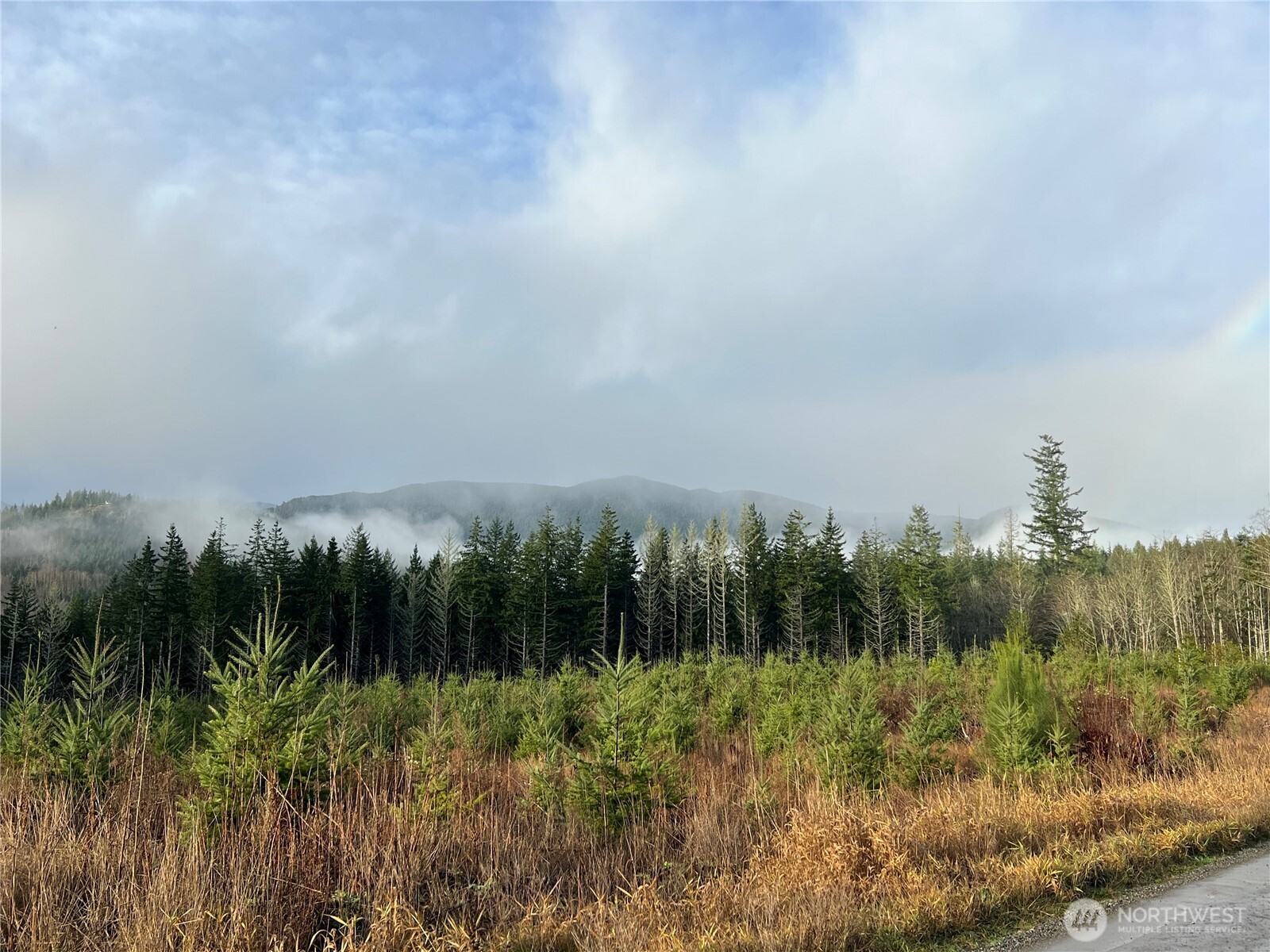 3-xxx Snow Creek Road Quilcene, WA 98376 - Photo 7 of 18 a view of a lush green space with sea