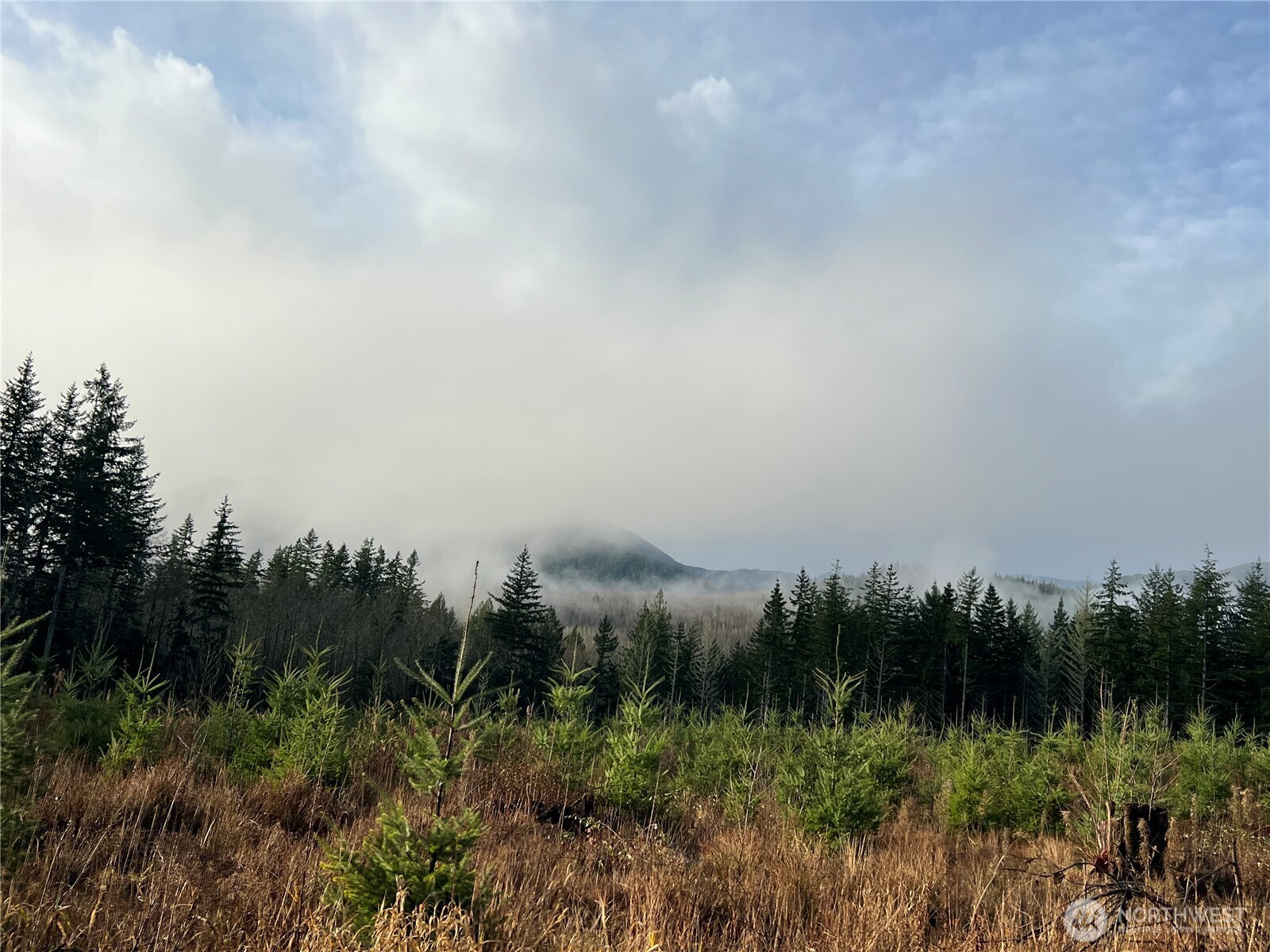 3-xxx Snow Creek Road Quilcene, WA 98376 - Photo 8 of 18 a view of a city