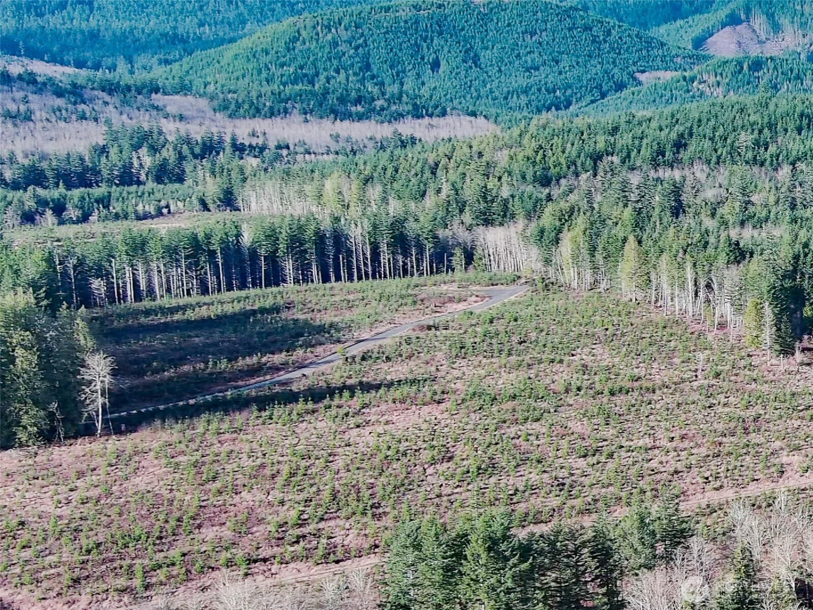 3-xxx Snow Creek Road Quilcene, WA 98376 - Photo 9 of 18 a view of a yard with wooden fence