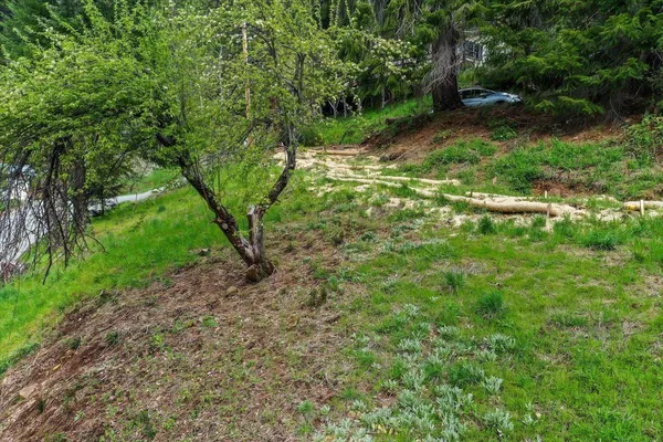 $89,000 | 118 East River Street, Downieville, CA 95936