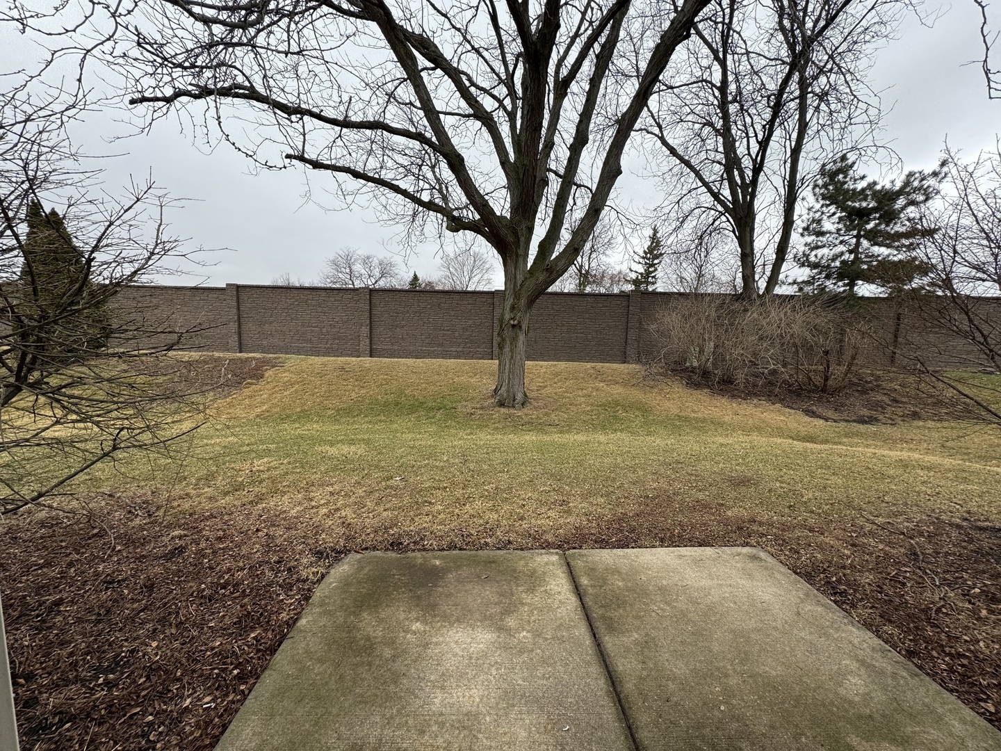429 Prairieview Drive Oswego, IL 60543 - Photo 20 of 21 a backyard of a house