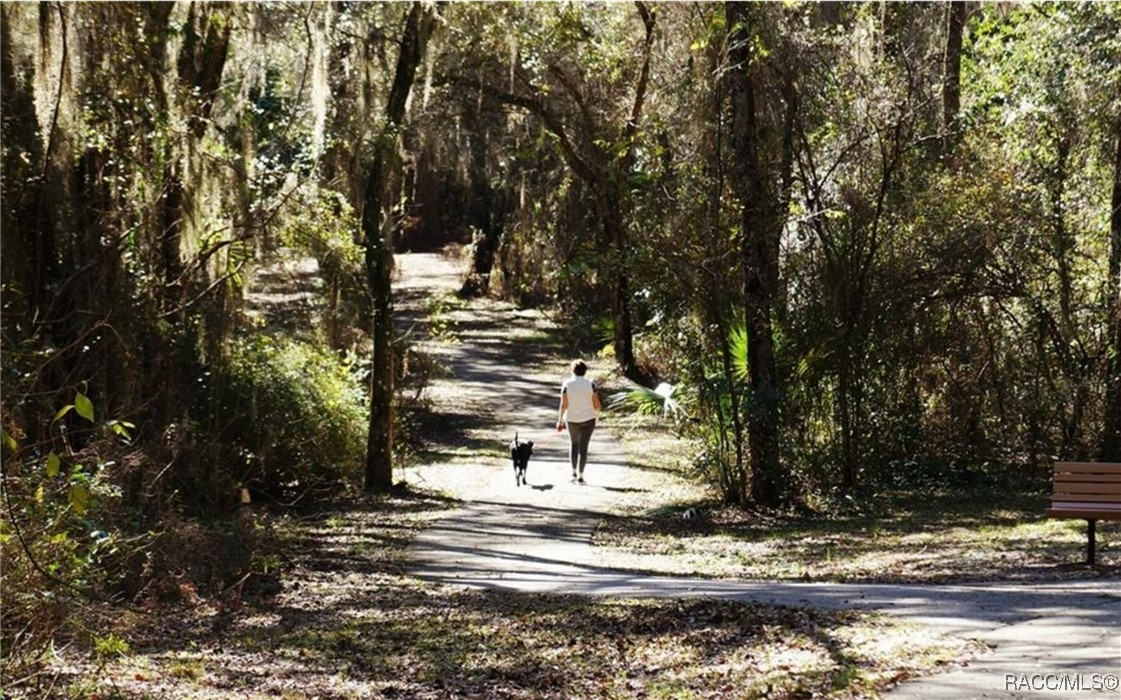 389 West Doerr Path Hernando, FL 34442 - Photo 82 of 84