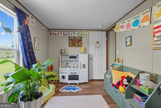 223 Primrose Lane Baxley, GA 31513 - Photo 20 of 27 a living room with furniture and a potted plant