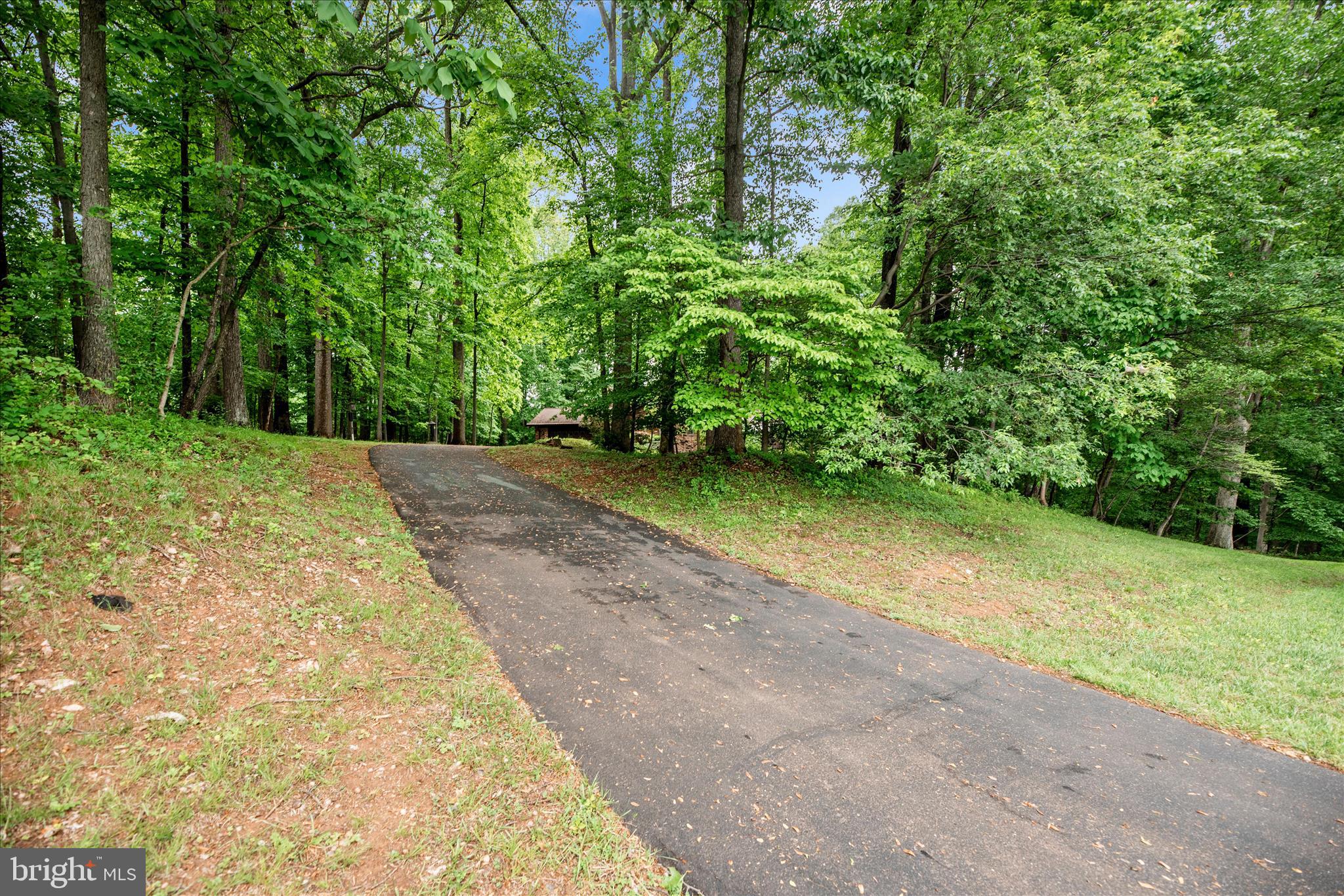 2221 Gold Mine Road Brookeville, MD 20833 - Photo 57 of 60 a view of a yard with plants and trees