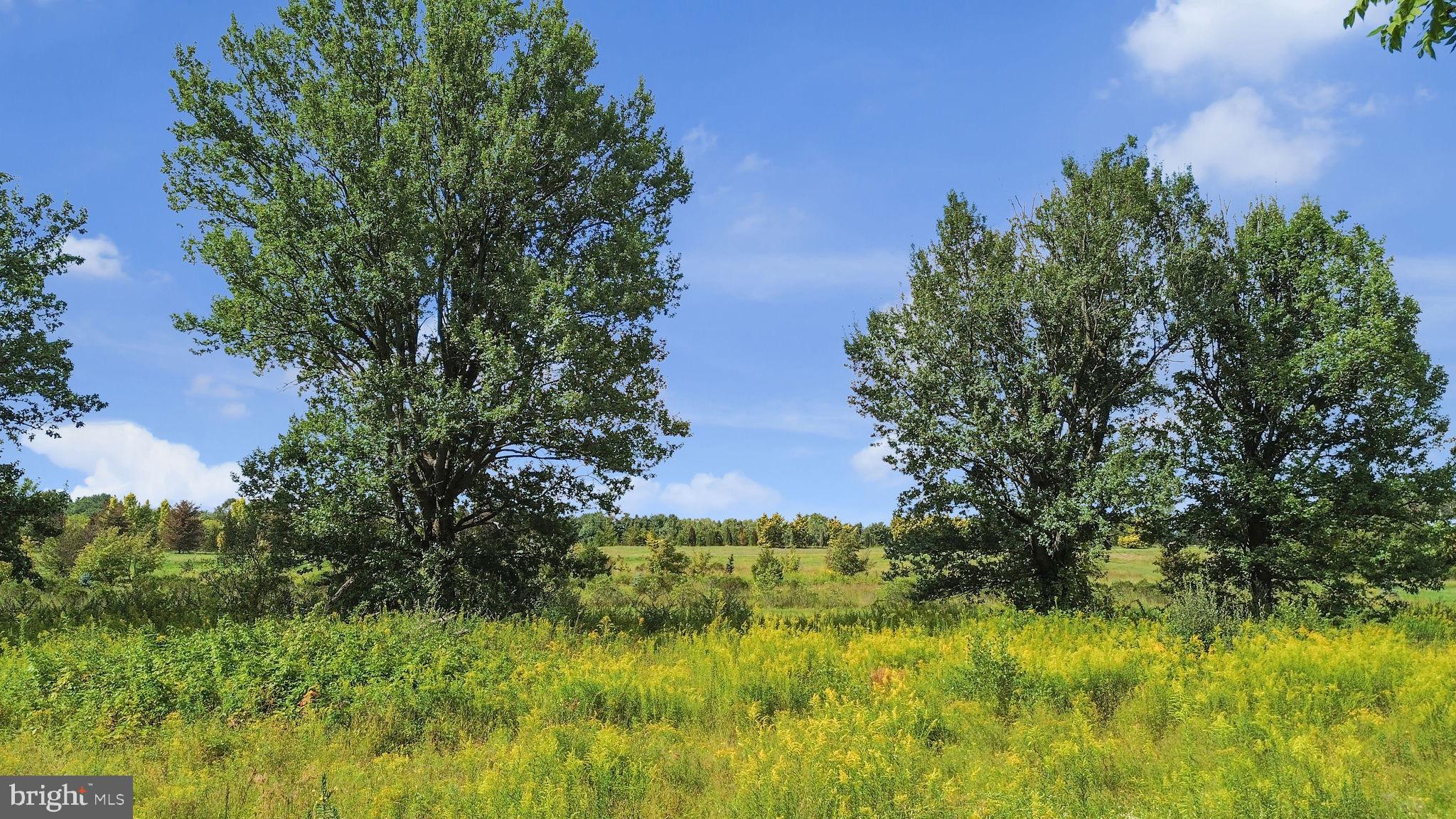 5925 Corrigan Road Doylestown, PA 18902 - Photo 50 of 64 a view of a yard