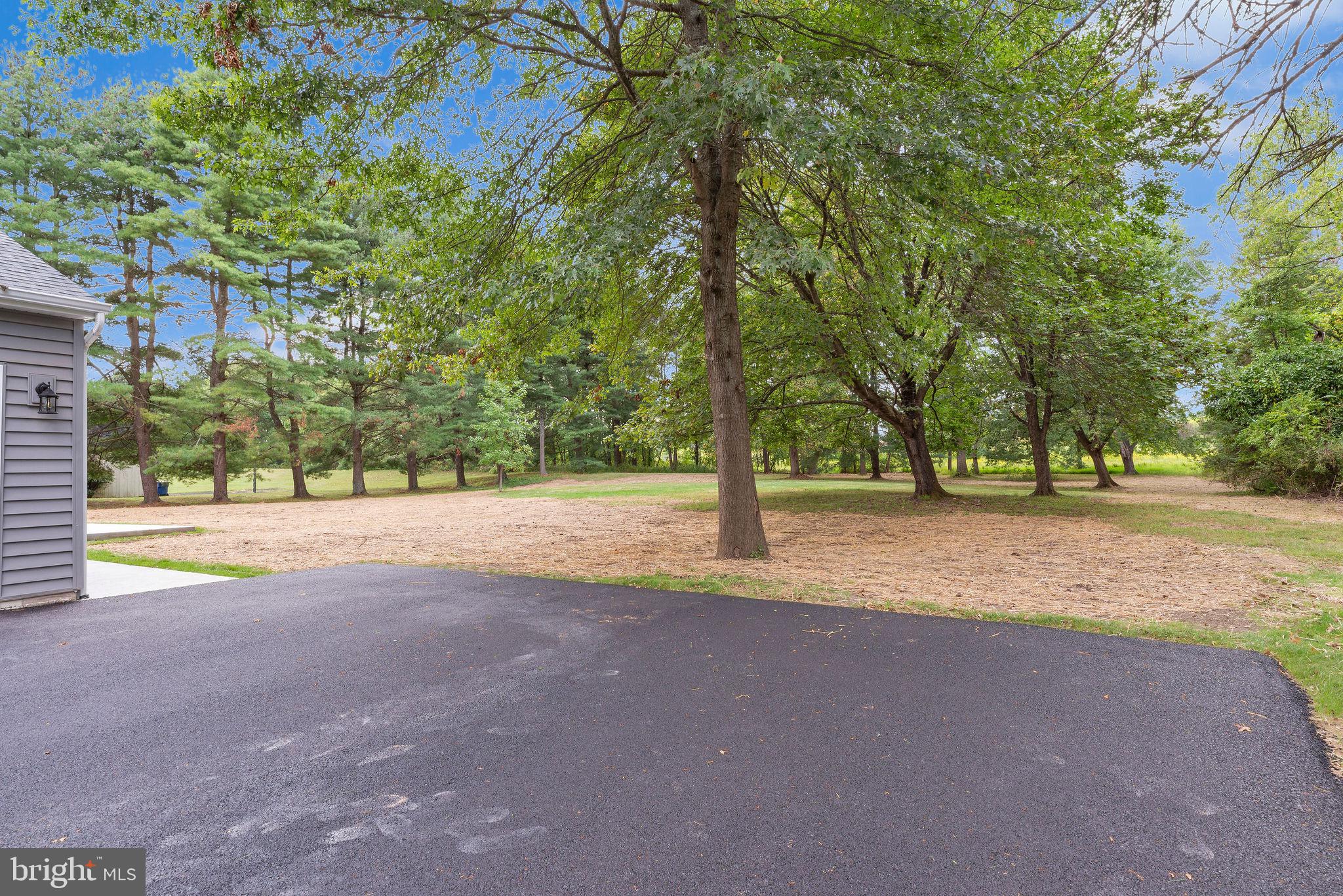 5925 Corrigan Road Doylestown, PA 18902 - Photo 53 of 64 a view of road with tree