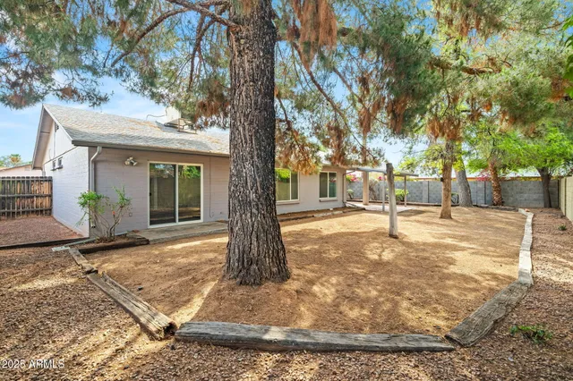 a view of a yard with a tree