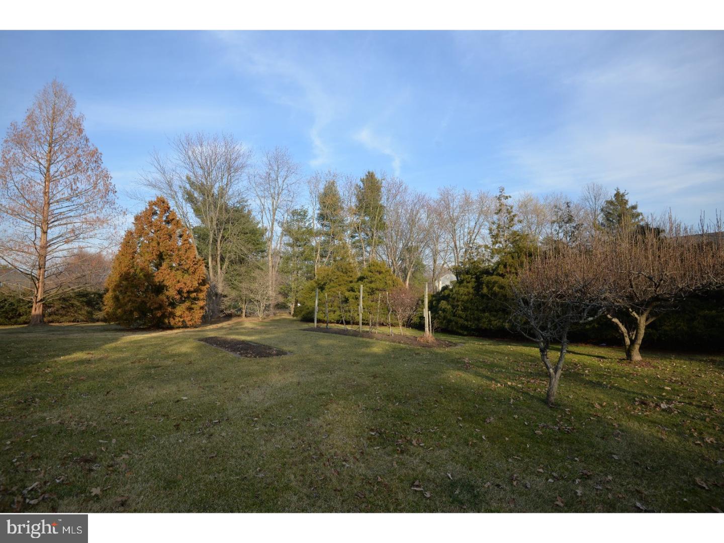 795 Pulinski Road Warminster, PA 18974 - Photo 6 of 24 View in Back