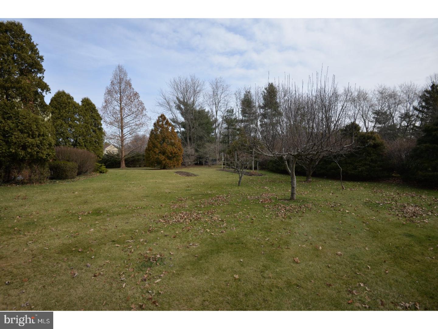 795 Pulinski Road Warminster, PA 18974 - Photo 7 of 24 View in Back