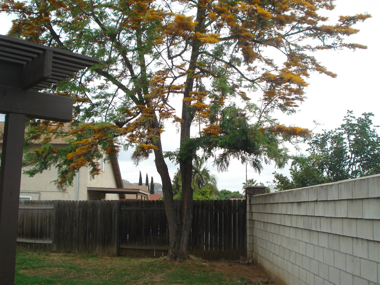 9740 Notnil Court Santee, CA 92071 - Photo 23 of 25 Gallery Image 23