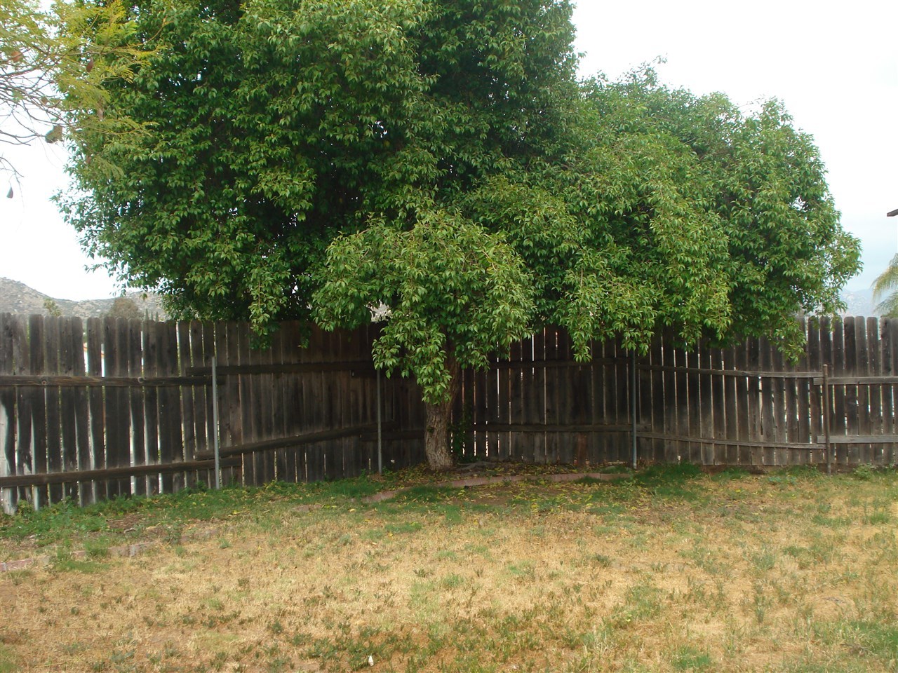 9740 Notnil Court Santee, CA 92071 - Photo 25 of 25 Gallery Image 25