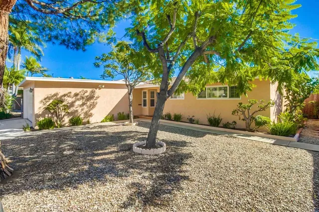 a view of a backyard with tree s