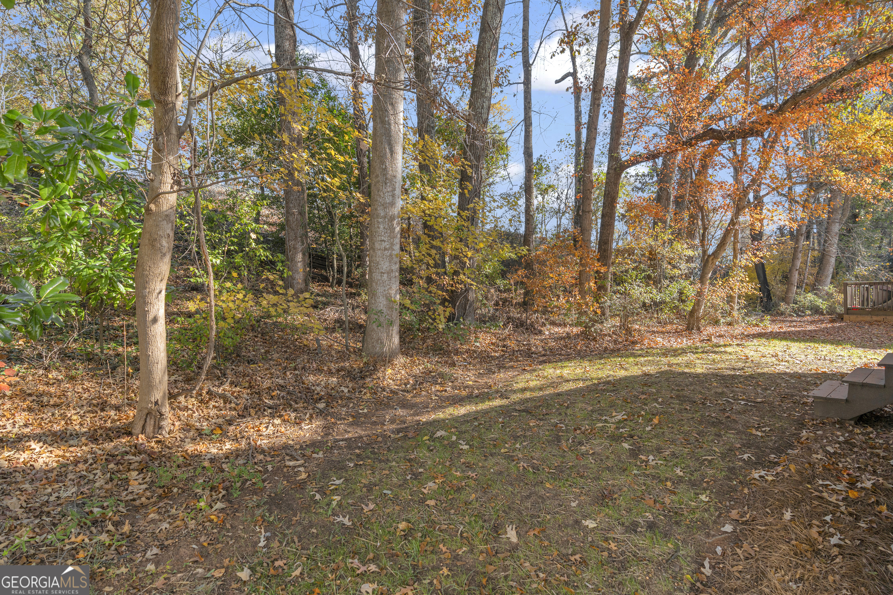 1040 Thomasville Estates Drive Southeast Atlanta, GA 30315 - Photo 39 of 57 a view of dirt yard with a tree