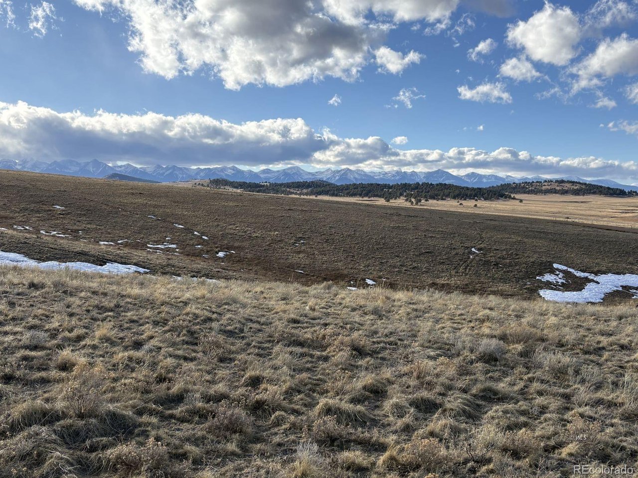 29 Eagle Springs Road Westcliffe, CO 81252 - Photo 6 of 17