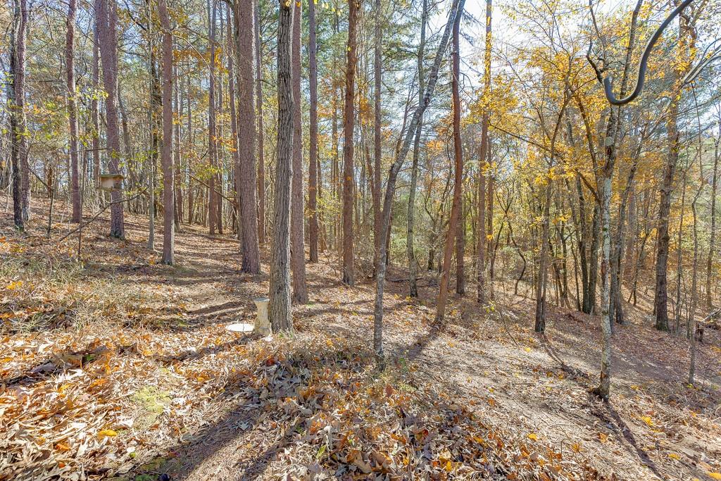 6360 Nix Road Dawsonville, GA 30534 - Photo 2 of 58 a view of wooden fence