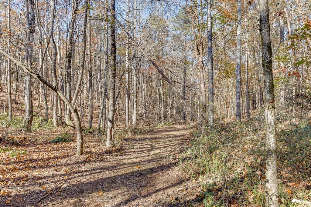 6360 Nix Road Dawsonville, GA 30534 - Photo 3 of 58