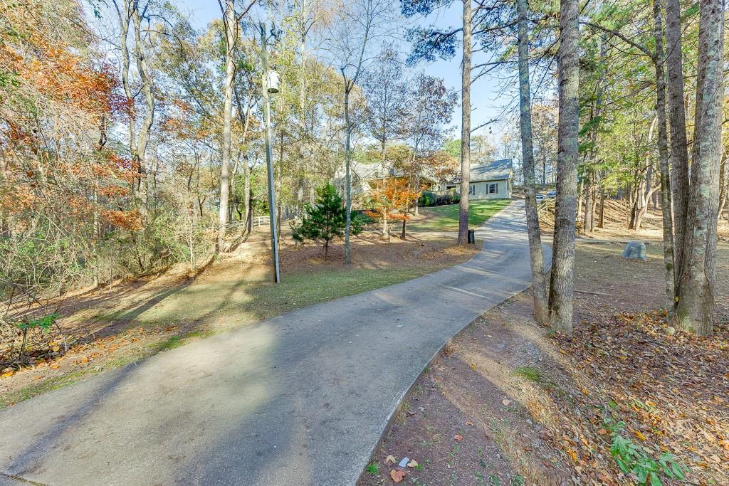 6360 Nix Road Dawsonville, GA 30534 - Photo 7 of 58 a view of a yard with plants and trees