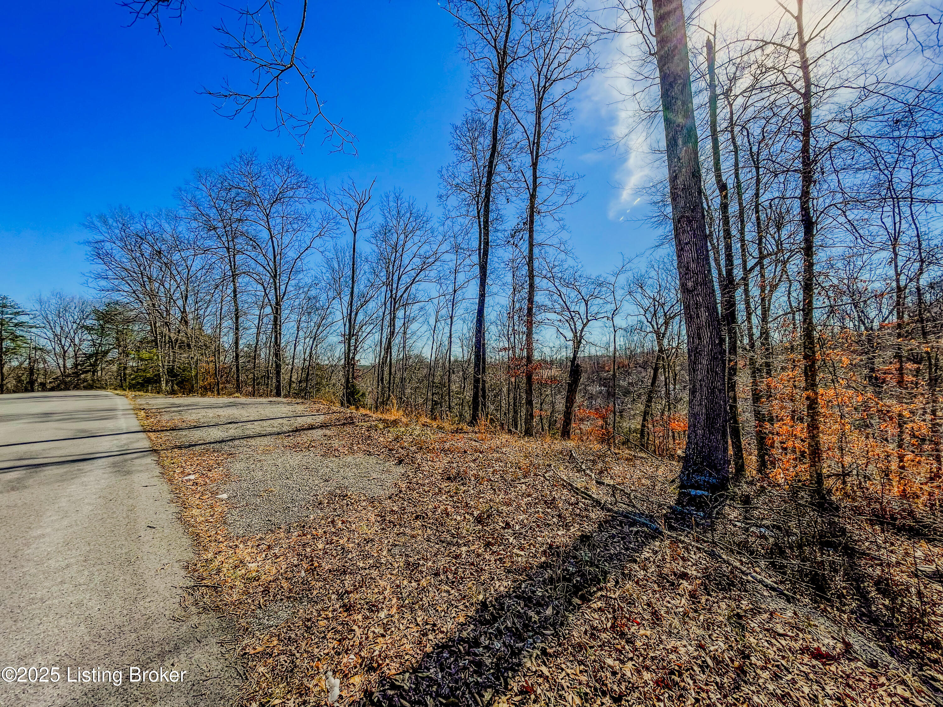 422 Lily Creek Ramp Road Jamestown, KY 42629 - Photo 45 of 48 IMG_3539