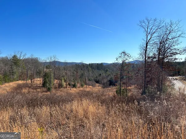 a view of a dry yard with trees