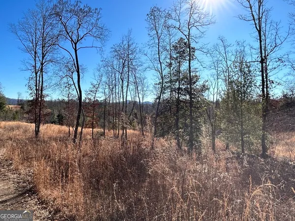 a view of covered with snow in the background