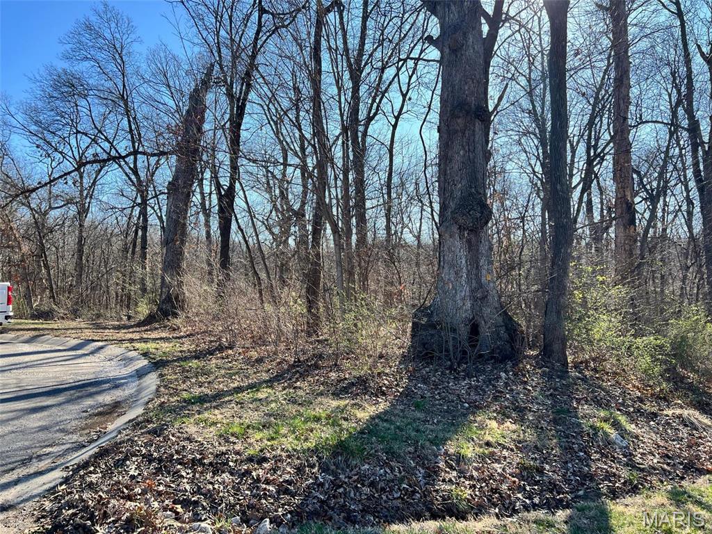 4 Acres Oak Ridge Hannibal, MO 63401 - Photo 2 of 3