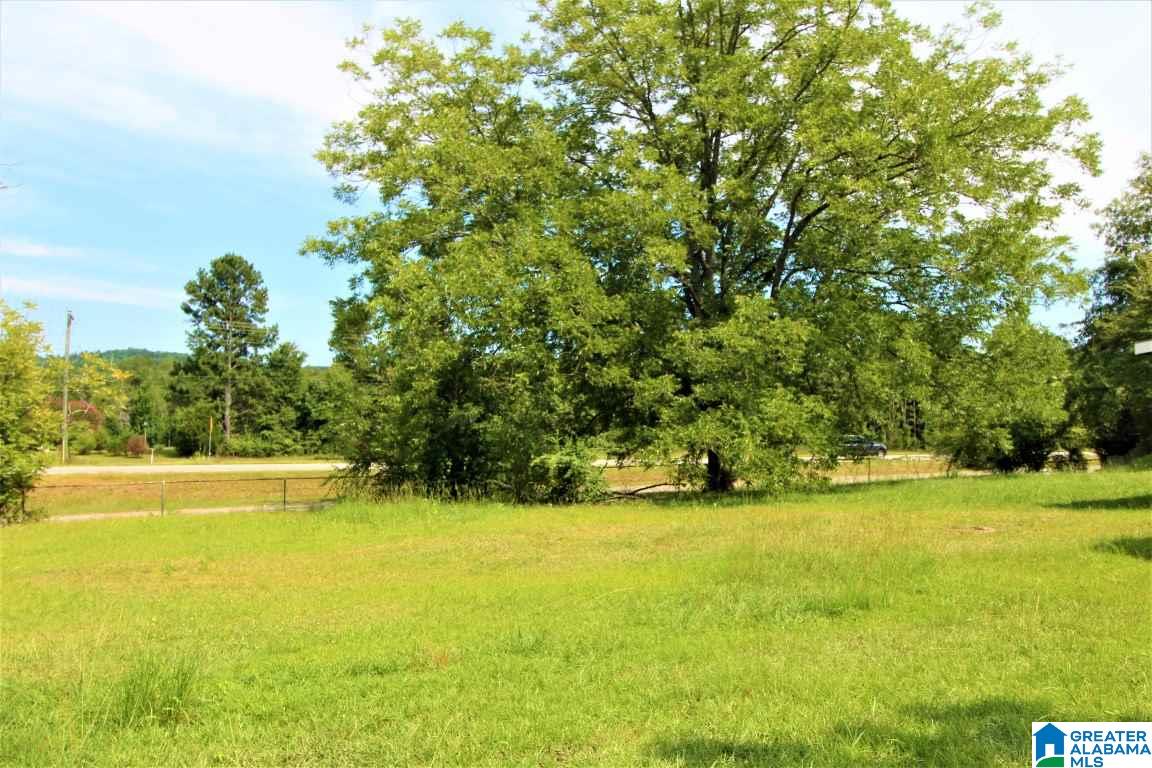 6265 Highway 77 Ohatchee, AL 36271 - Photo 15 of 21 Gallery Image 15