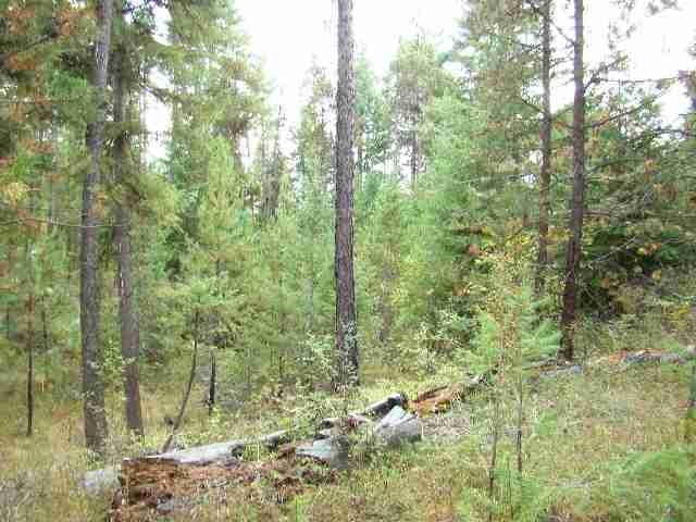 12722 Deer Valley Road Newport, WA 99156 - Photo 3 of 6 Gallery Image 3