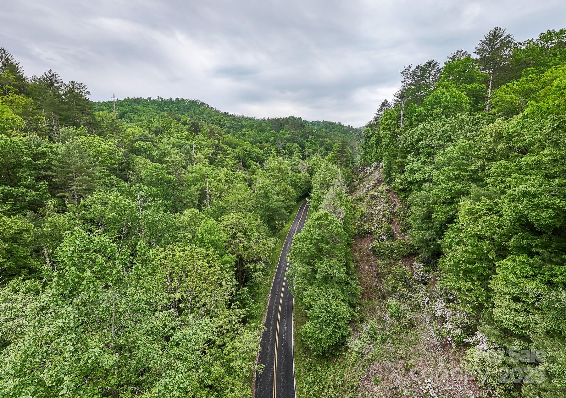 399 Shell Stand Road Almond, NC 28702 - Photo 17 of 21 a view of a green field with lots of bushes