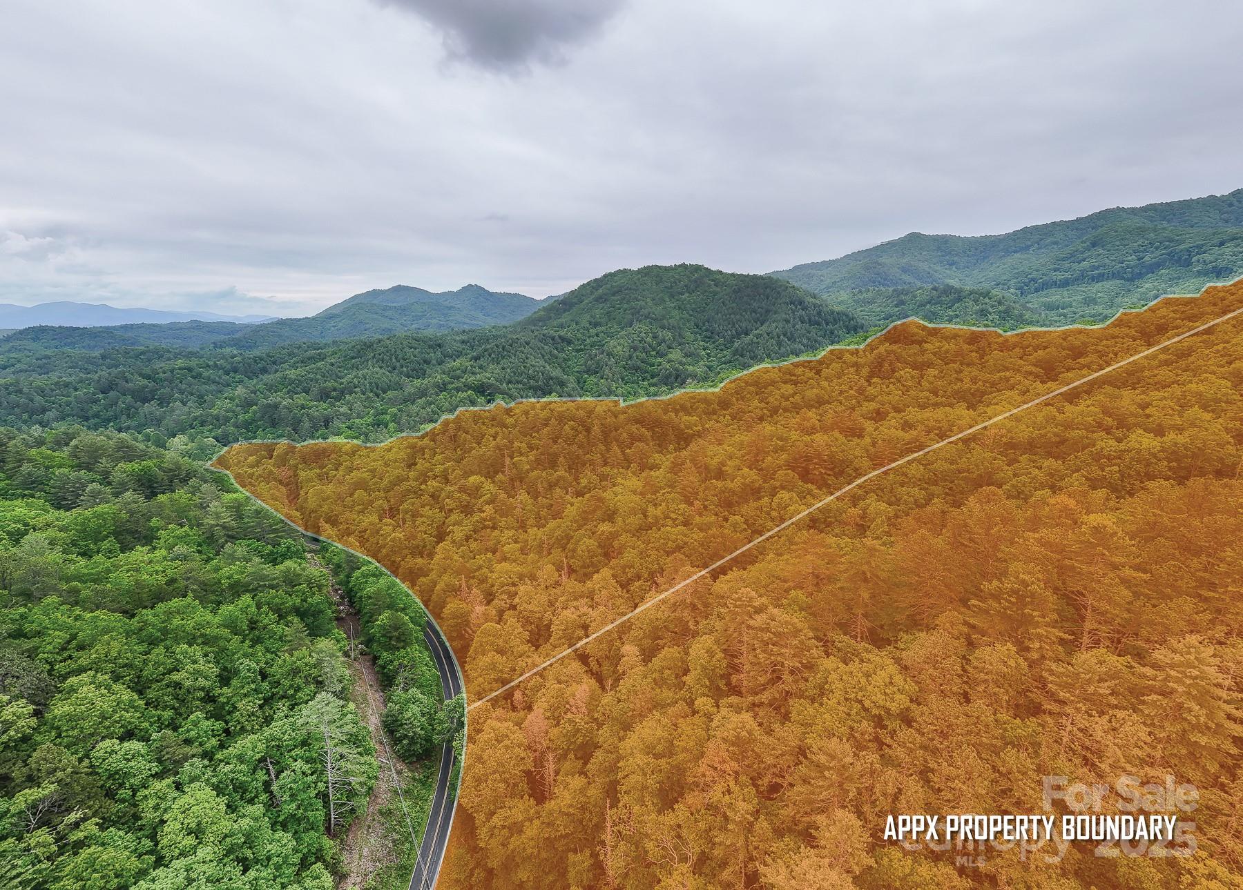 399 Shell Stand Road Almond, NC 28702 - Photo 5 of 21 a view of mountain with lake view