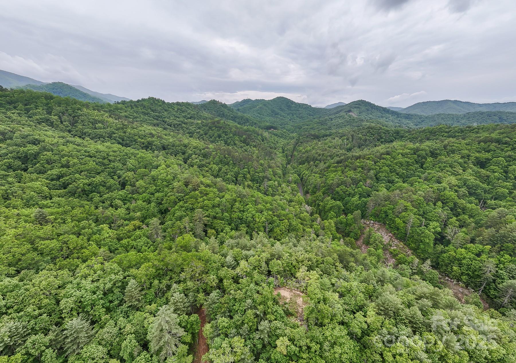 399 Shell Stand Road Almond, NC 28702 - Photo 6 of 21 a view of a lush green hillside and mountains