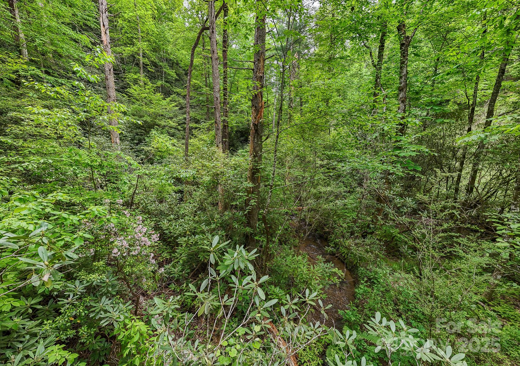 399 Shell Stand Road Almond, NC 28702 - Photo 9 of 21 a view of a lush green forest